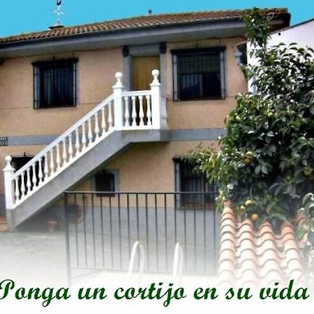 Alojamiento Rural Torre Hueca Hotell Pinos Puente Exteriör bild