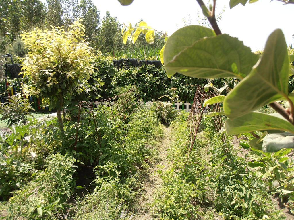 Alojamiento Rural Torre Hueca Hotell Pinos Puente Rum bild